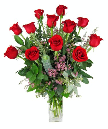 A Dozen Premium Red Roses