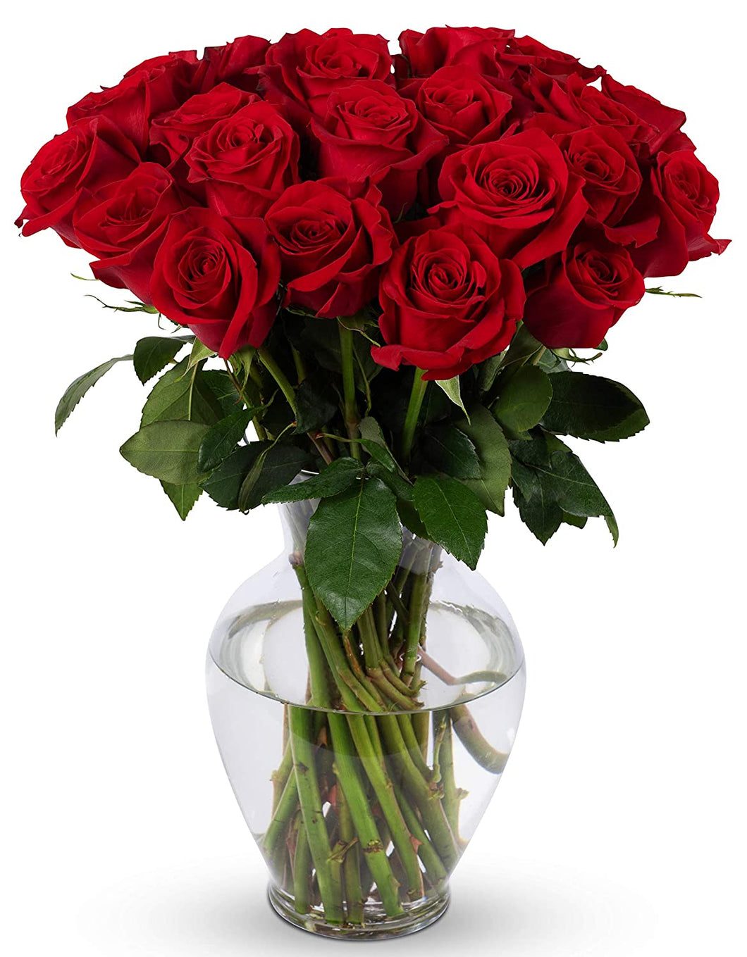 Two Dozen Red Roses