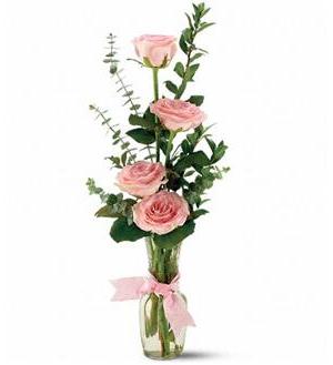 Rose Quartet