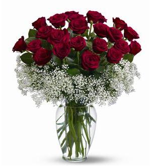 Field of Roses