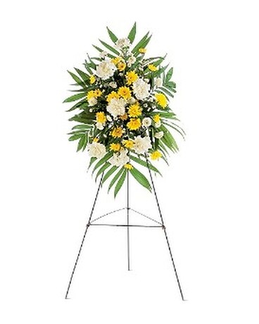 Brighter Blessings Spray