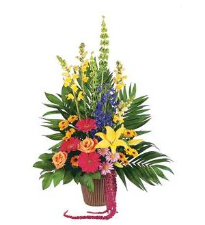 Celebration of Life